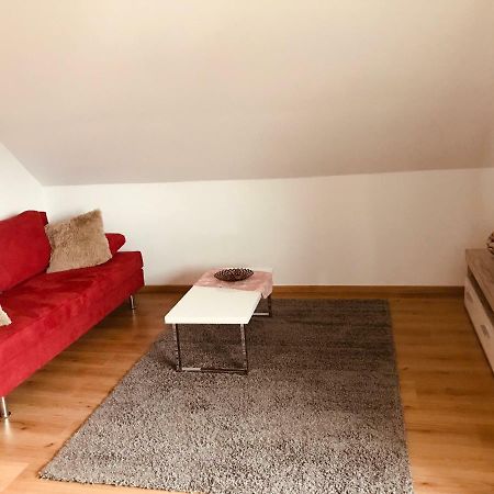 Grosses 1-Zimmer Wohlfuhl-Appartement Rednitzhembach Exteriör bild